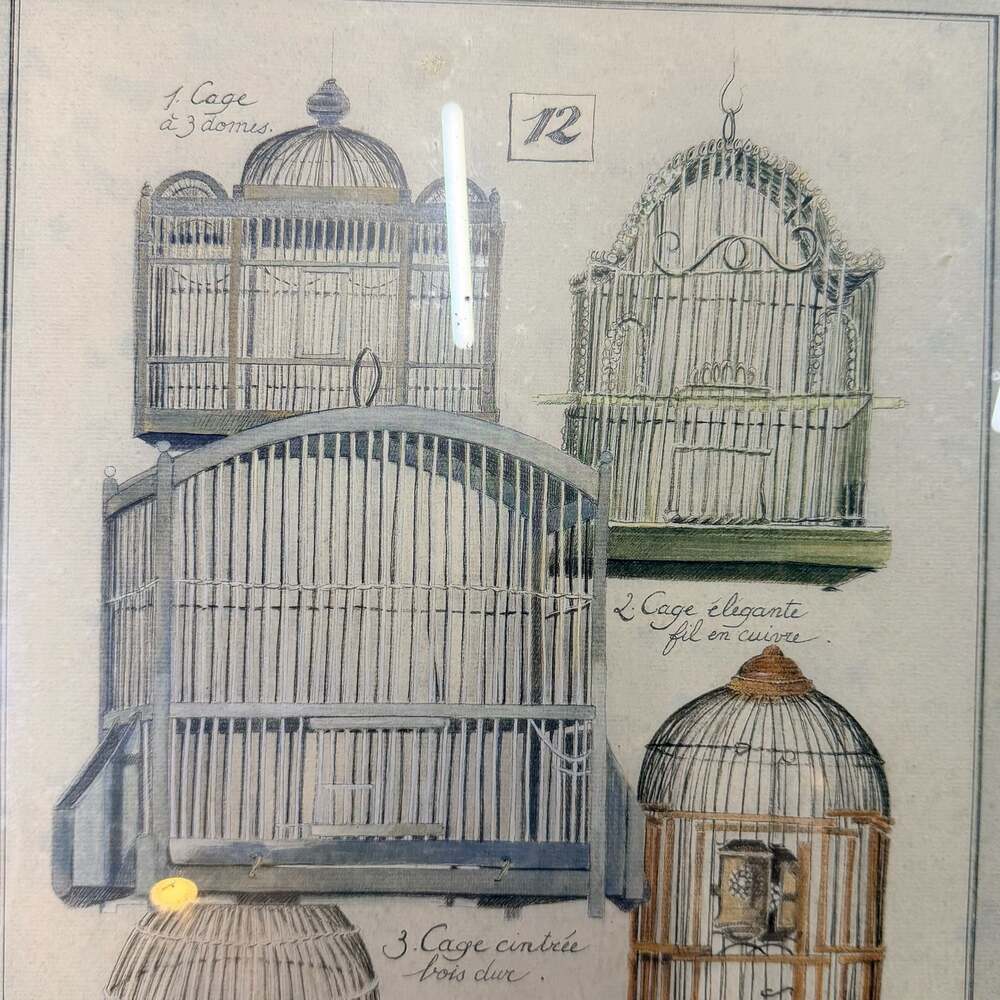 Vintage L. David French Bird Cage Botanical Prints, Distressed Green Frames (2) - Picture 8 of 10